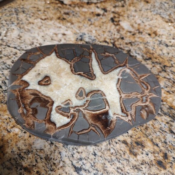 Vintage SEPTARIAN Nodule Slab Mineral With a Lightning Like Pattern - Picture 7 of 7